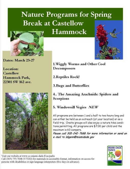 Spring Break programming at Castellow Hammock